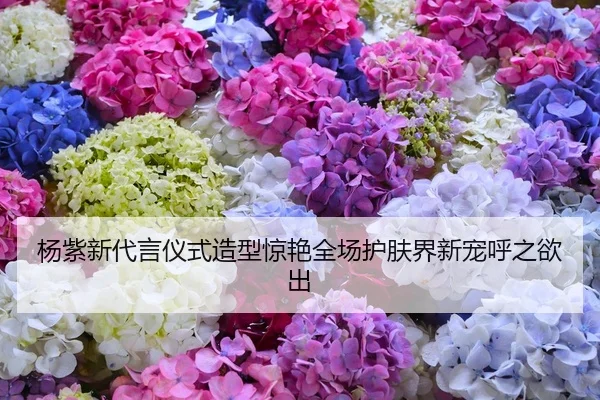 杨紫新代言仪式造型惊艳全场护肤界新宠呼之欲出